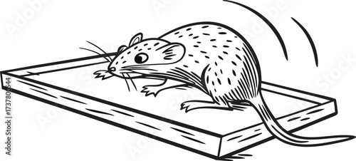 Black and white sketch illustration of a mouse on a wooden trap surface. Detailed line art design representing rodent control concept. Perfect template for pest prevention themes.