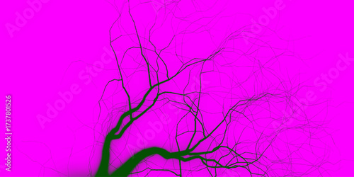 Abstract background, silhouette of colorful tree branches. Dramatic pink and green lightning strikes illuminate the sky during a fierce storm at dusk. Dark green neon marble banner abstract stone bg