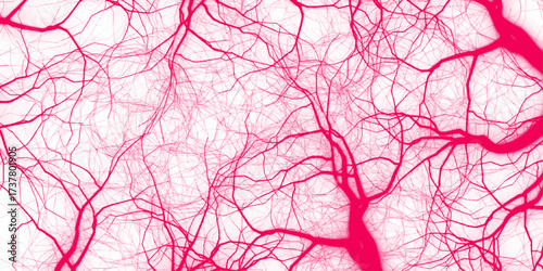 Red-toned, intricate tree branches against a light background. Autumn tree branch background. Leafless tree silhouette on white background. Tall trees under snow cover. January frosty day in winter.