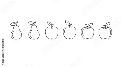 Vector art of pears and apples line