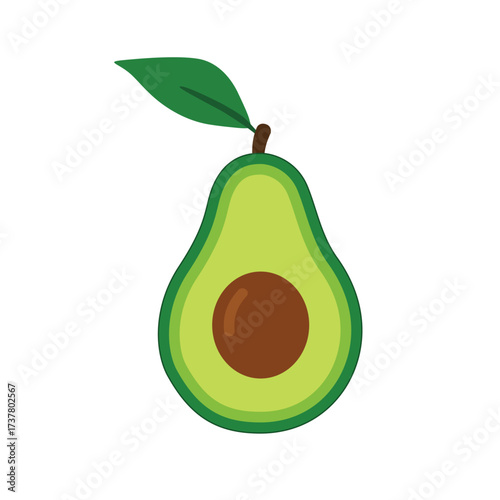 Ripe avocado fruit, slice or section isolated on white, vector illustration
