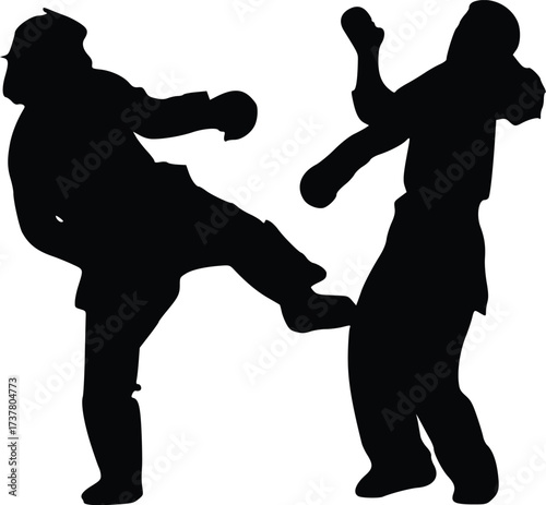 Martial Arts Fighters Silhouette in Action