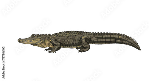 An American alligator displays its scaly hide and elongated snout in this detailed pixel art rendering.