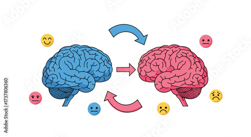 Understanding the interconnectedness of emotions and cognitive processes in the human brain.