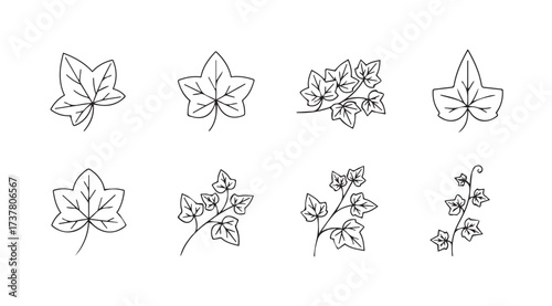 Vector art of ivy leaf line icons