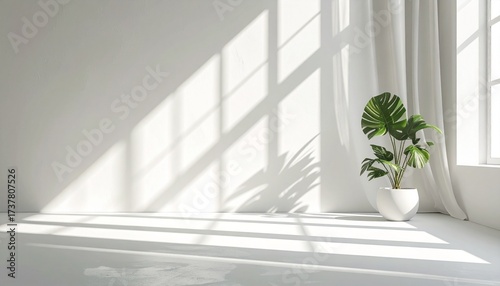 Light and shadows lines from curtain and silates on the white wall. Sunny day, the sun's rays. Mockup, copy space for text