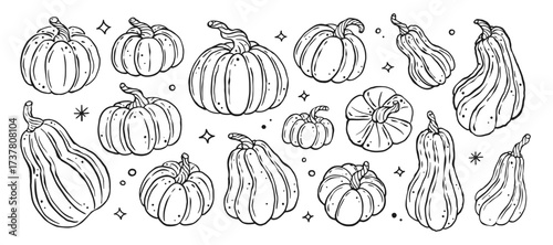 Hand drawn doodle cute pumpkin vector collection set. Fall autumn squash harvest silhouette.	