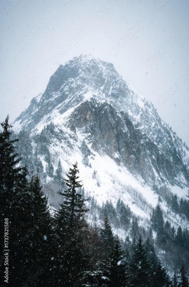 Obraz premium snow covered mountains