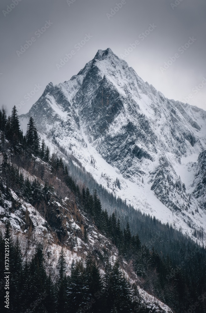 Obraz premium snow covered mountains