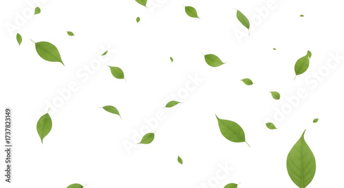 Scattered green leaves isolated on transparent background, creating a natural pattern