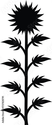 Tall plant with spiky leaves and branching flower stalk silhouette vector