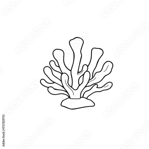 Simple coral drawing depicting underwater sea life organism with intricate branches and textured base, forming a marine coral drawing.