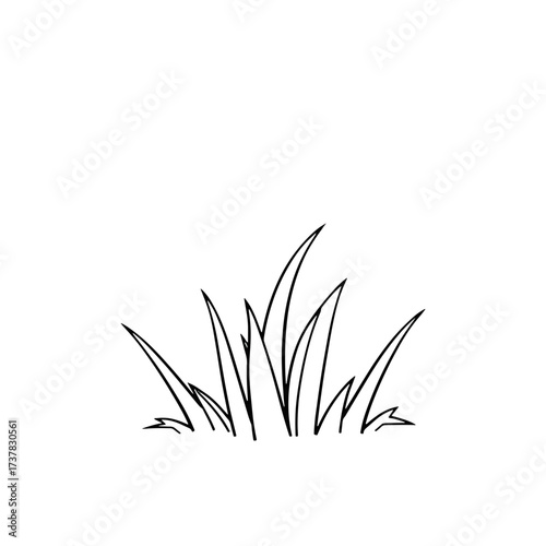 Simple grass illustration on transparent backdrop, showing minimalist blades in monochrome. Simple grass illustration for garden design ideas, evoking a serene environment.