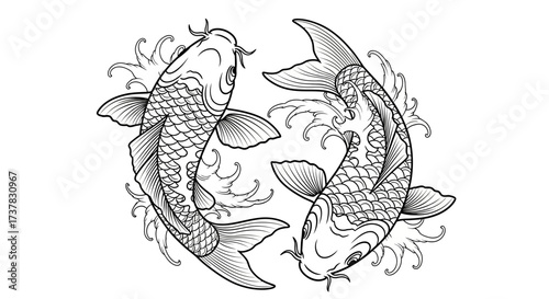 Elegant depiction of intertwined koi fishes evoking harmony and tranquility illustrated with fine