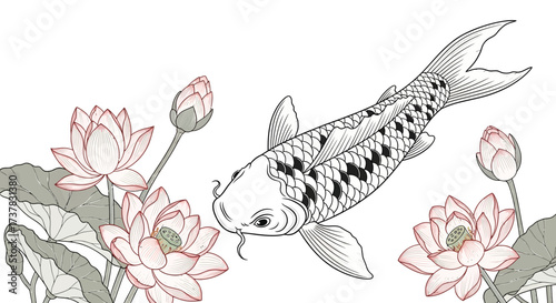 Elegant illustration featuring a serene koi fish swimming amidst delicate lotus blossoms and leaves