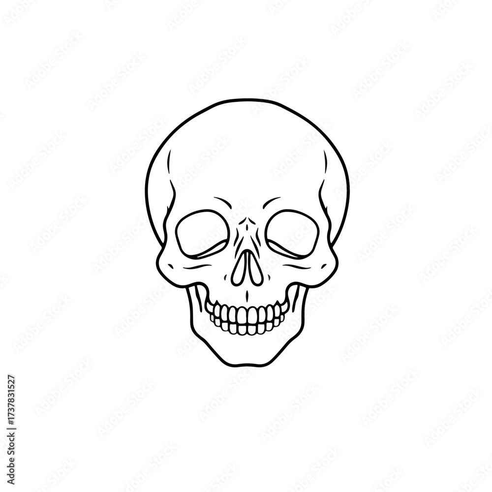 Fototapeta premium Human skull illustration on white background with detailed anatomical structure. Skull drawing is a graphic representation of bone structure, skeletal structure and teeth.