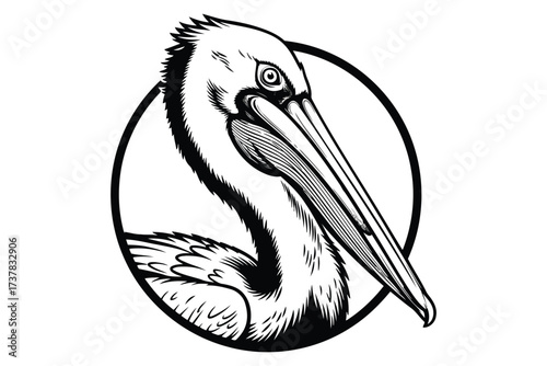 Illustration of a pelican head in black and white, showcasing its distinctive beak and eye, set against a clean, , perfect for logos and designs