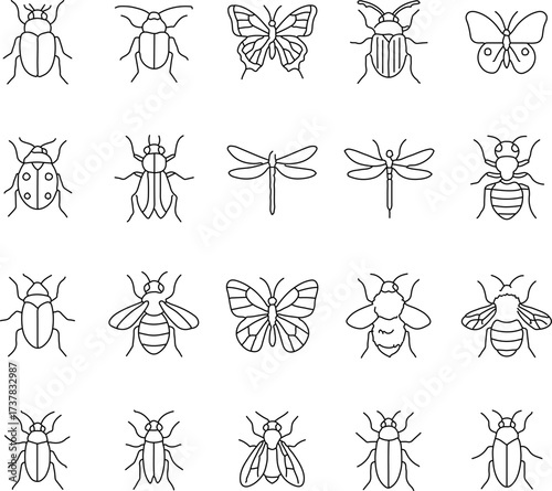Intricate, monochromatic line art displays a diverse collection of insects, each one meticulously detailed and representative of the insect world.