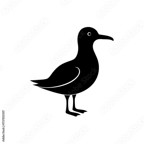 Silhouette of a seagull standing sideways view on transparent background