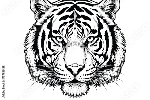 Vector art of detailed black and white illustration of a tiger head, showcasing its majestic and powerful features in a striking and artistic manner