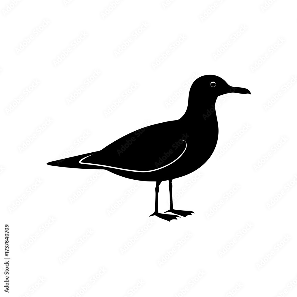 Obraz premium Silhouette of a seagull standing still now on transparent background