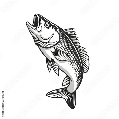 Monochrome illustration of a largemouth bass fish jumping with its mouth wide open.