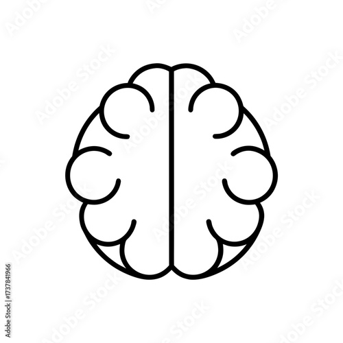 Outline of brain with symmetrical lobes on transparent background silhouette