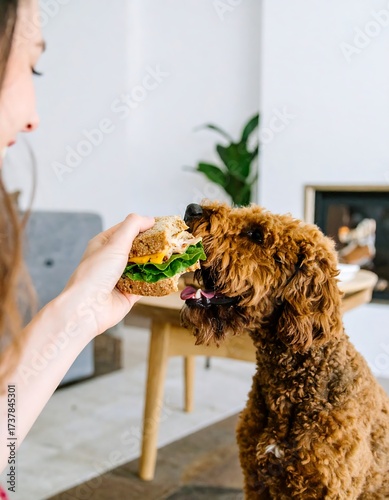 Woman feeding dog