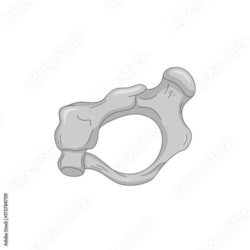 Isolated Malleus Bone Depiction on White Backdrop for Medical Reference