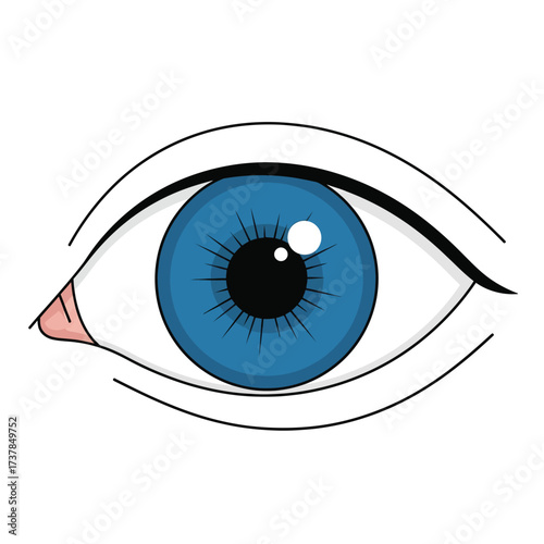 Stylized vector illustration of a single blue human eye on white surface