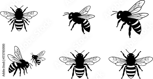 Honey bee svg, Honey bee vector, Honey bee silhouette, Honeybee silhouette, Bee svg, Bee silhouette, Flying bee silhouette, Honey bee icon, Bee vector illustration set