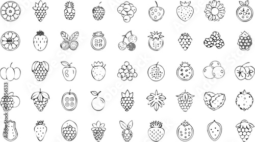 Illustration of various fruits including berries grapes apples oranges and other exotic fruits in black and white