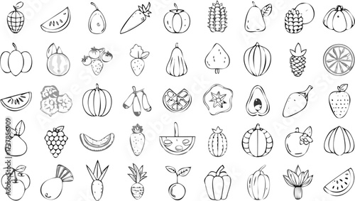 Illustration of various fruits and vegetables in a sketch style with black outlines on a white background