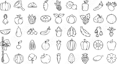Outlined drawing of various fruits and vegetables including pumpkins apples bananas and other produce items
