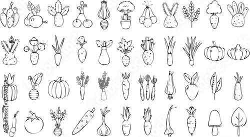 Illustration of various cartoon vegetables and fruits in a hand drawn style on a white background surface