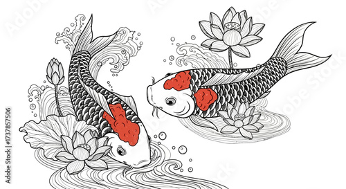 Elegant koi fish duo swimming among delicate lotus blossoms in black and white sketch style