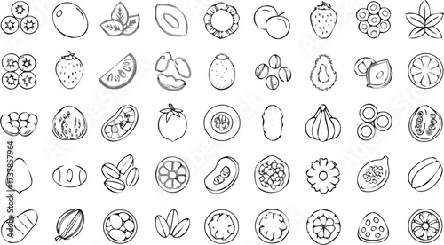 Illustration of various fruits and seeds including blueberries, strawberries, and other fruits in black and white