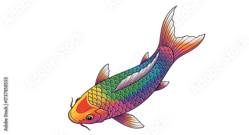 Vibrant Koi Fish Illustration: A Colorful Aquatic Design for Creative Projects