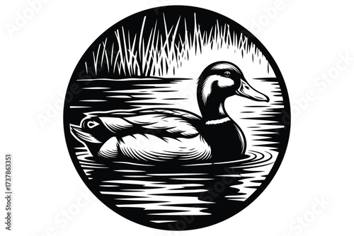 Illustration of a mallard duck swimming in water, the artwork showcases intricate line work and a serene, natural scene within a circle