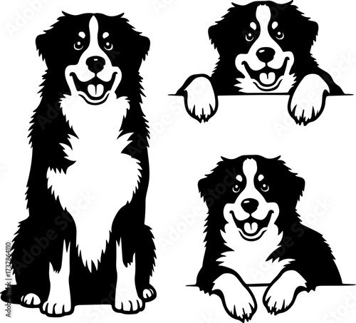 Happy Black and White Herding Dog Set