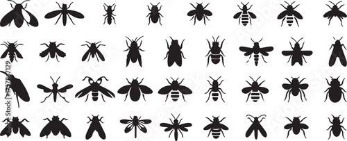 insect silhouette vector, bug outline art, black insect clipart, butterfly fly design, beetle bee artwork, creepy crawlers svg, nature insect icons, wild bug shapes, biology wildlife graphic, entomolo