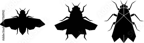 Insect Silhouette Trio – Three Fly Wing Variations in Black on White Background for Scientific and Graphic Use