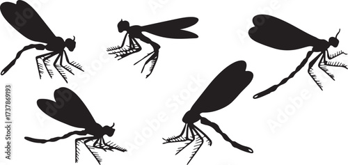 mosquito silhouette vector, insect clipart design, black mosquito art, flying insect svg, pest bug illustration, biology insect graphic, mosquito shape icon, creepy crawly artwork, bloodsucker mosquit
