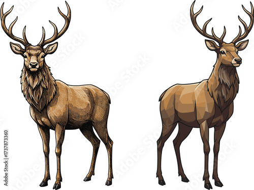 Stylized deer illustration, antlers, wildlife art, animal drawing, forest creature, symmetrical pose, textured fur, nature design, vector, comparison