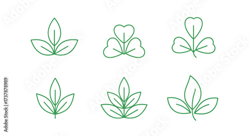 A collection of six stylized green leaf outlines representing natural beauty and growth.