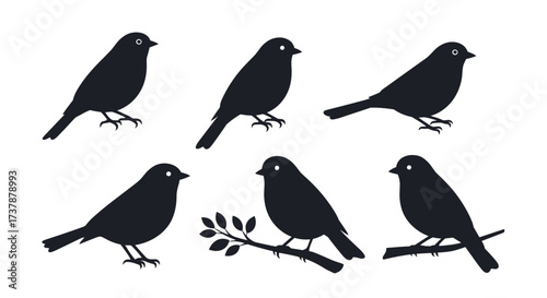 Six silhouettes of small birds perched and standing on branches.