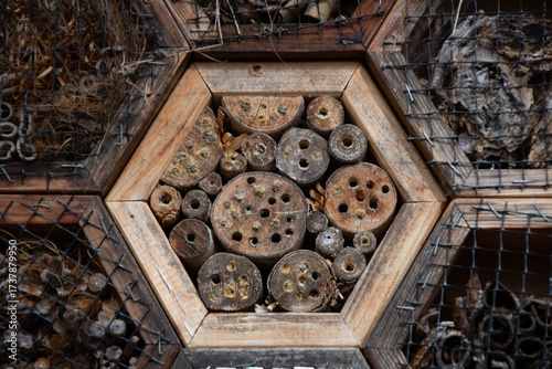 Close-up of a Wooden Insect Hotel with Hexagonal Frame