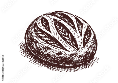 Sourdough bread hand drawn sketch vector illustration