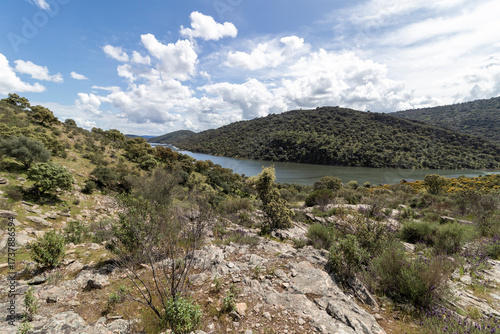 Monfragüe national park ecosystem with tejo river