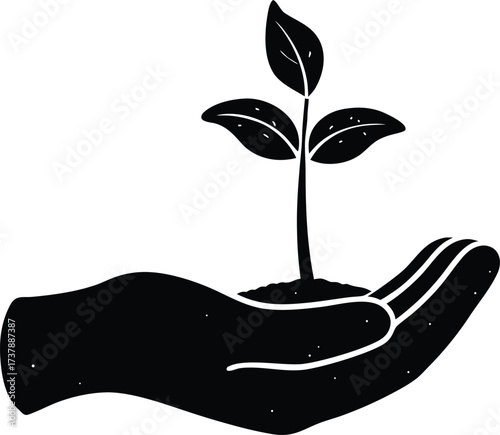 Open palm gently holding a small green tree sprout symbolizing growth and new beginnings